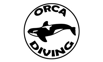 Orca Diving