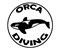 Orca Diving