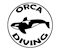 Orca Diving
